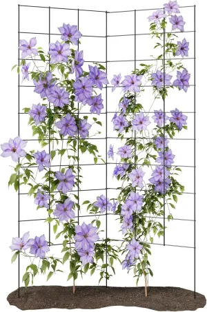 2-Panel Folding Garden Trellis - Maximize Your Garden Space, Durable Powder Coated Steel Frame, Easy-to-Use Design, Perfect for Climbing Vines, Vegetables, Beans, Tomato, Cucumber, 35x58