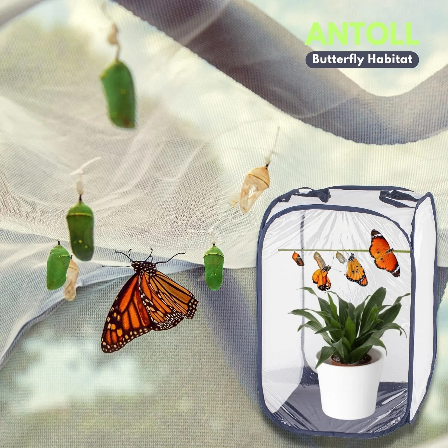 3Pcs 24" M Size Blue Butterfly Habitat Cage, Monarch Habitat, Butterfly for Caterpillars, Flying Insect Mesh Cage, Outdoor Observation Plant, Pop-Up Open Size: 16"x16"x24"