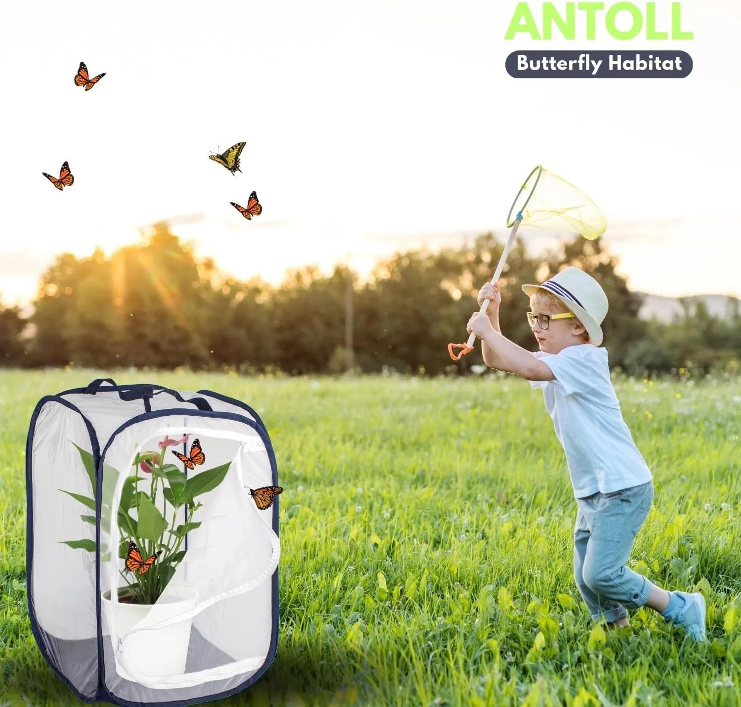 3Pcs 24" M Size Blue Butterfly Habitat Cage, Monarch Habitat, Butterfly for Caterpillars, Flying Insect Mesh Cage, Outdoor Observation Plant, Pop-Up Open Size: 16"x16"x24"
