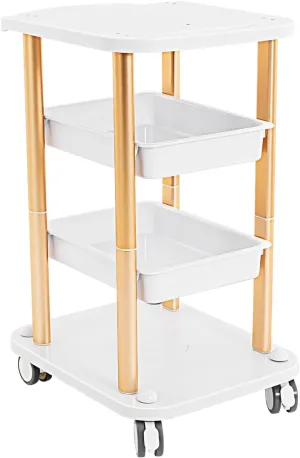 4-Tier Salon Rolling Cart, 4 Large Capacity Facial Tray, Rolling Beauty Trolley for Storing Equipment and Tools, Movable Storage Trolley for Beauty Salon, Spa, Office, footprint:19*15 in (white,Gold)