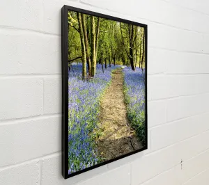 Bluebell Path