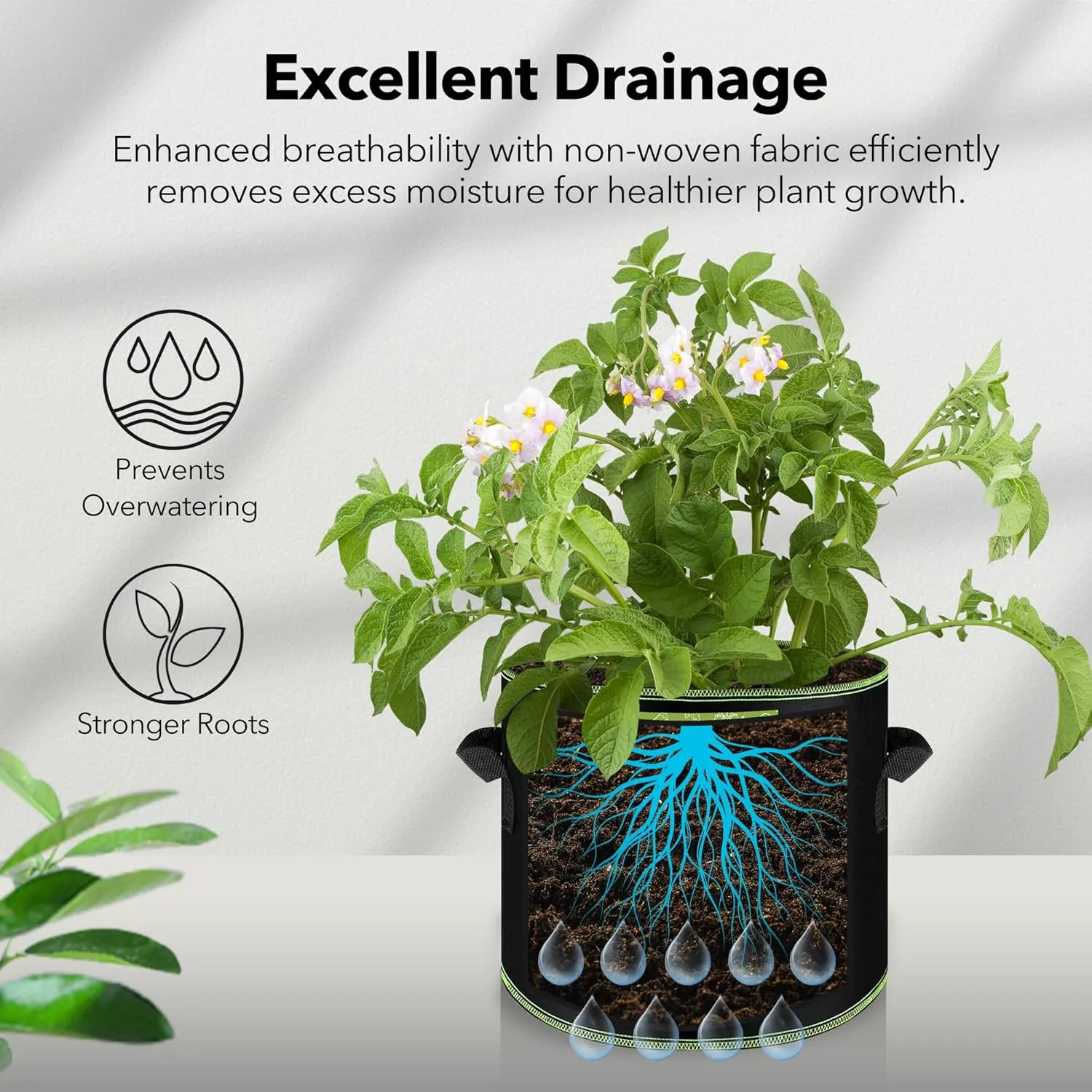 BN-LINK 10-Pack 5 Gallon Grow Bags, Heavy Duty Aeration Fabric Pots with Handles, Thickened Nonwoven Plant Bags for Vegetables, Flowers, Fruits