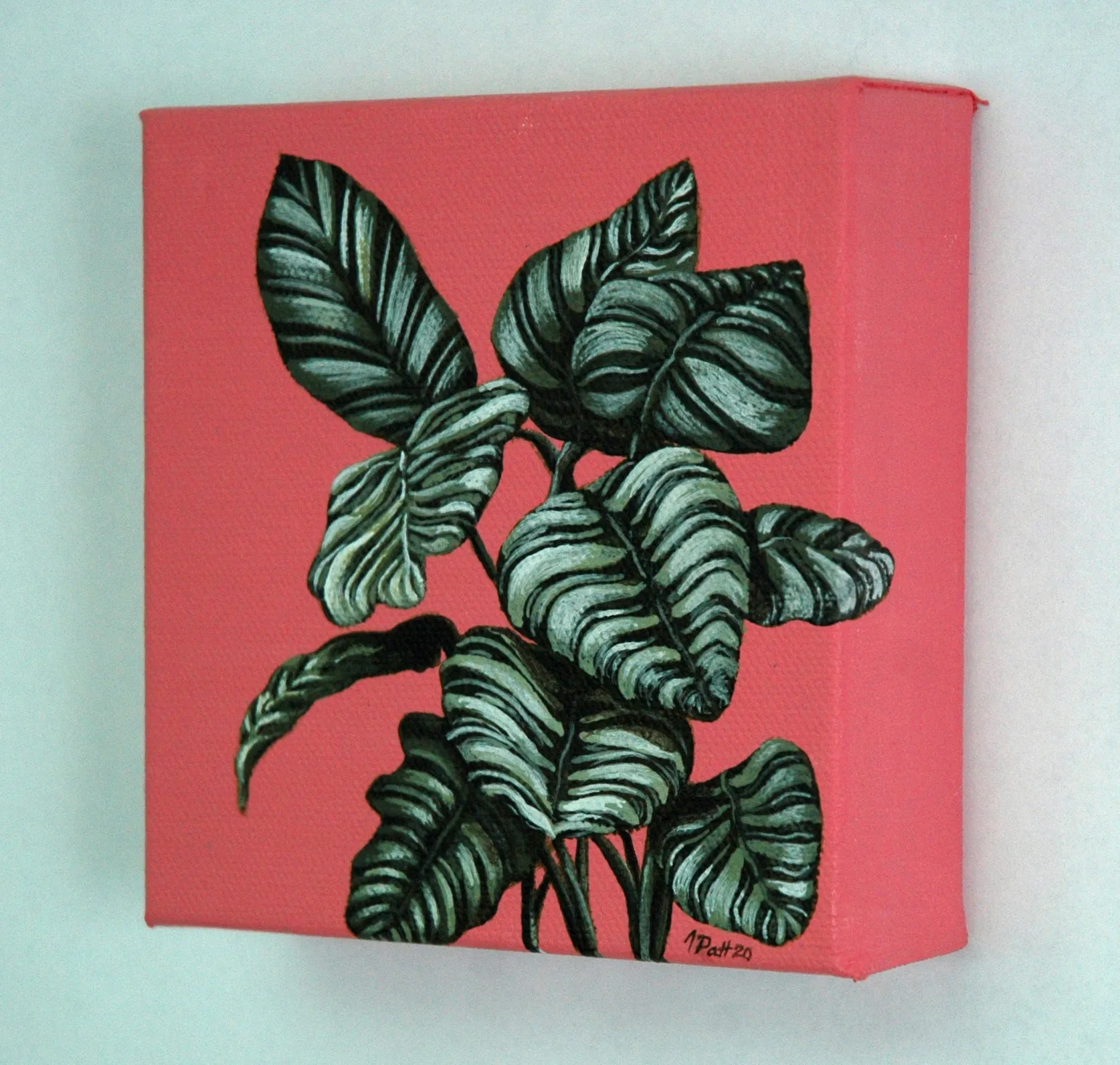 Calatheas Mini Painting