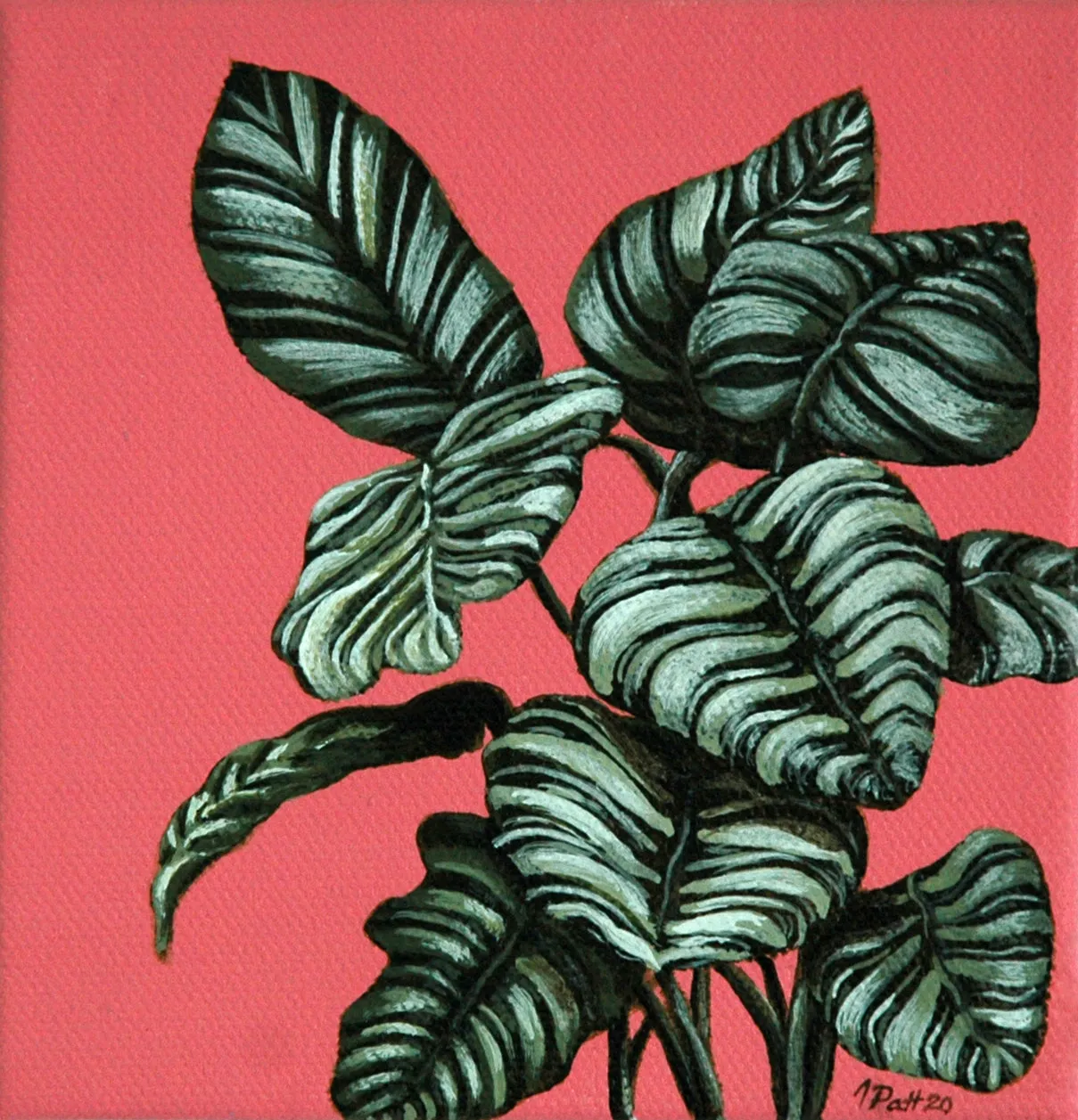 Calatheas Mini Painting