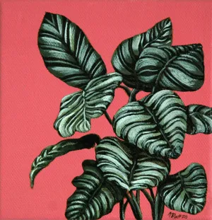 Calatheas Mini Painting