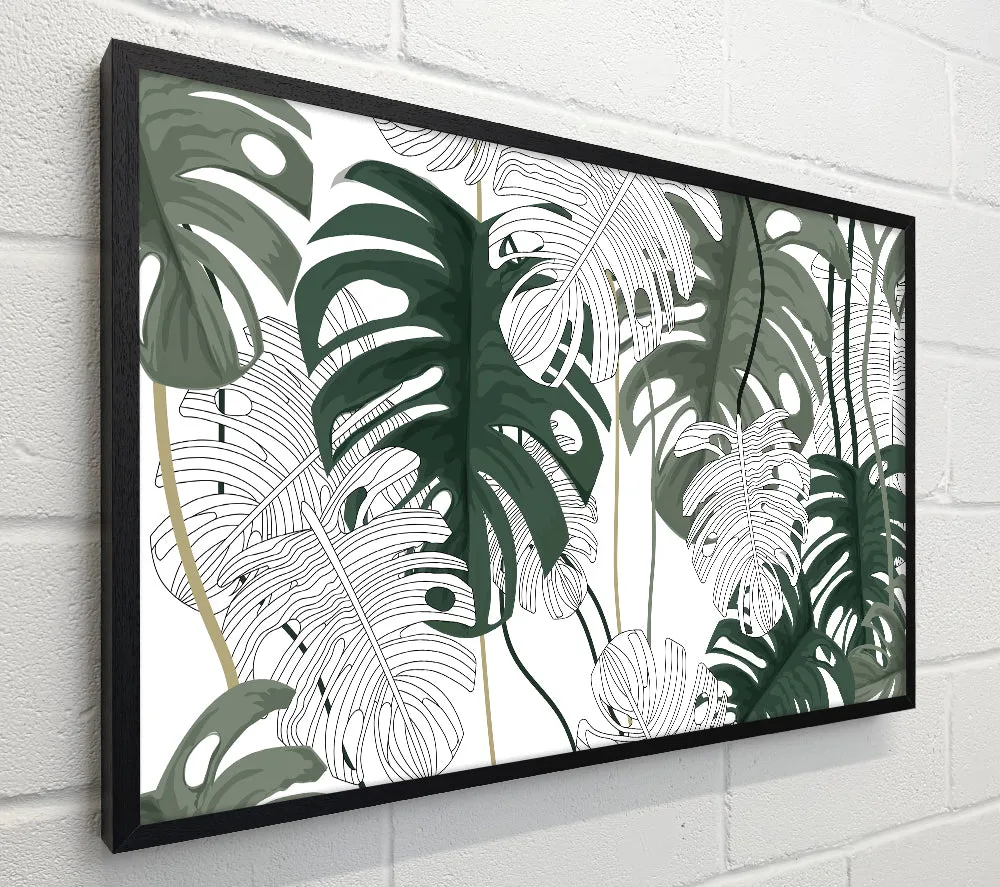 Cheese Plant Leaves