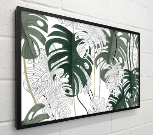 Cheese Plant Leaves