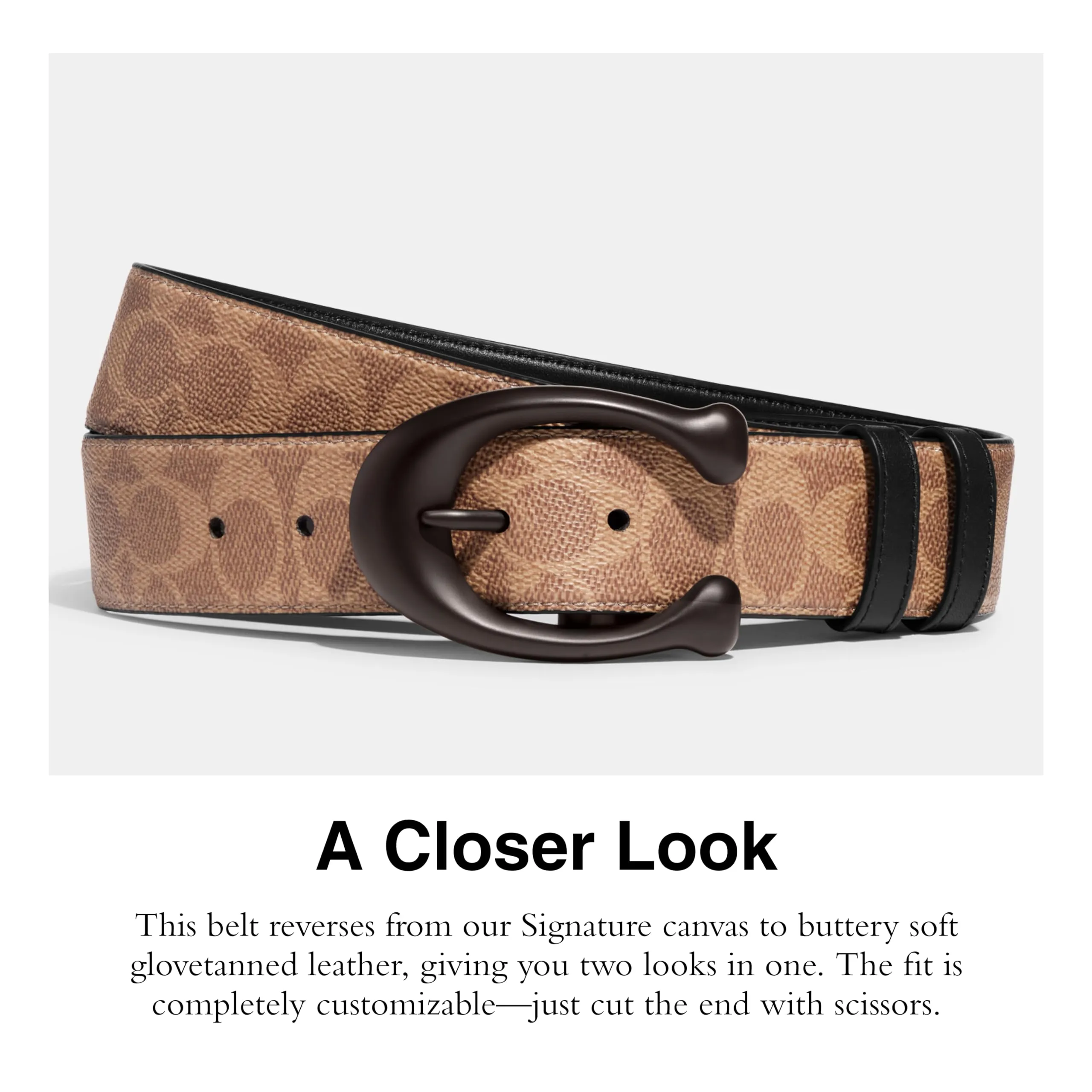 Coach40MM Sculpted C Belt