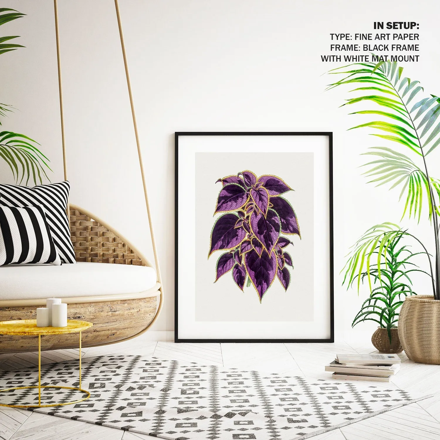 coleus plant, Botanical Flower Paintings
