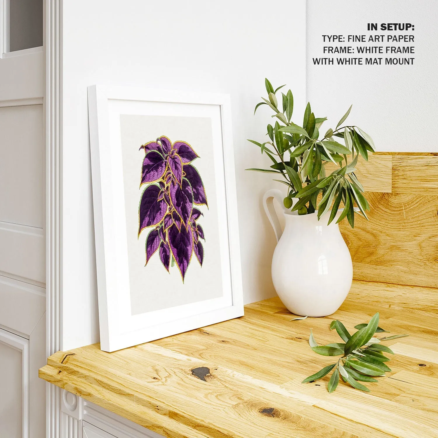 coleus plant, Botanical Flower Paintings
