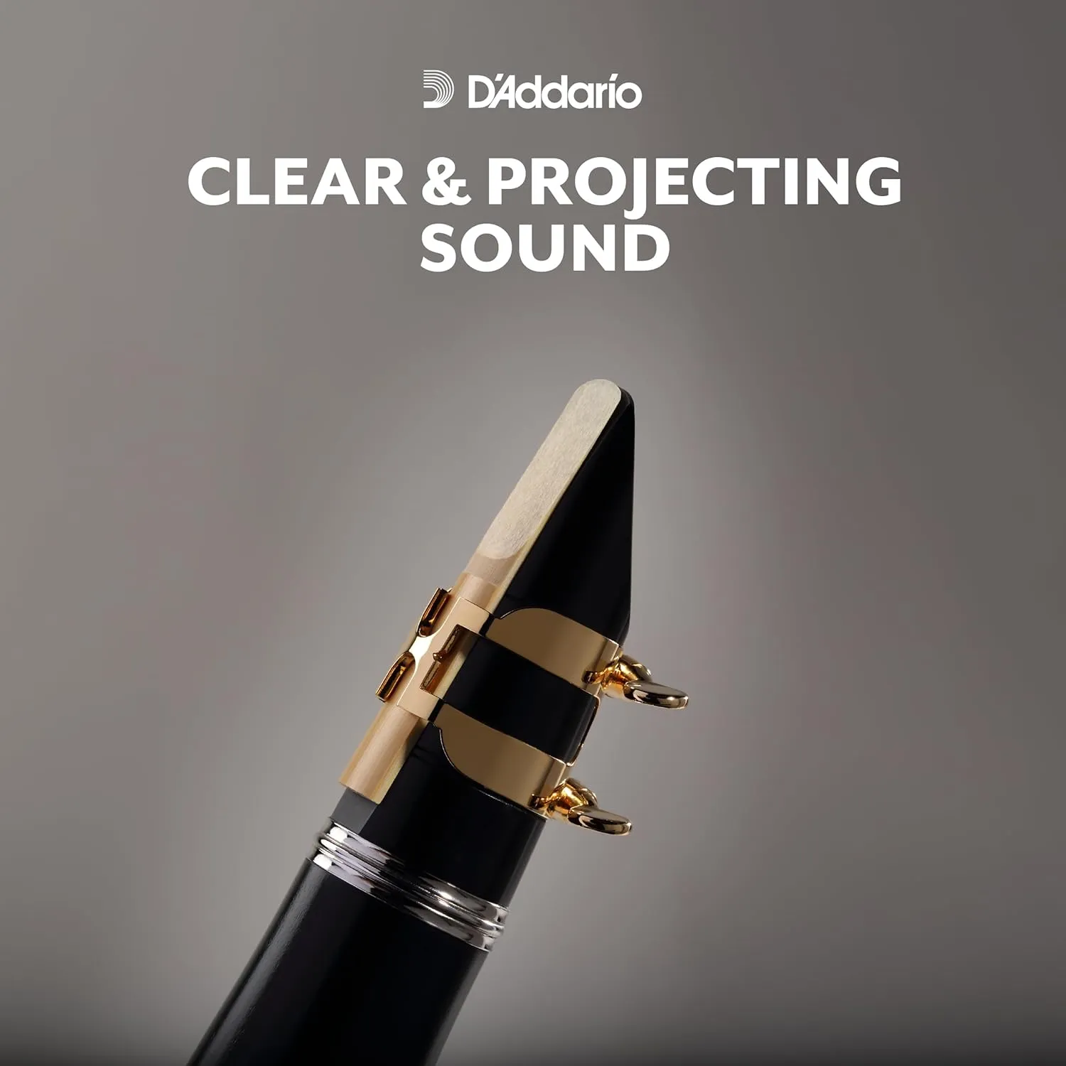 D’Addario Woodwinds - Rico Bass Clarinet Reeds - REA1025 - Strength 2.5, 10-Pack