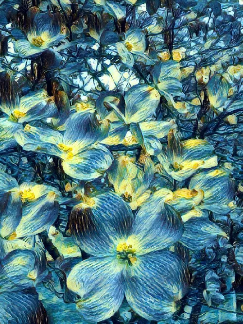 Dogwood in blue