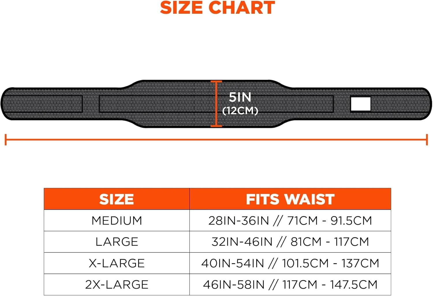 Ergodyne Arsenal 5555 5-Inch Padded Base Layer Tool/Work Belt, 2-XL,Black