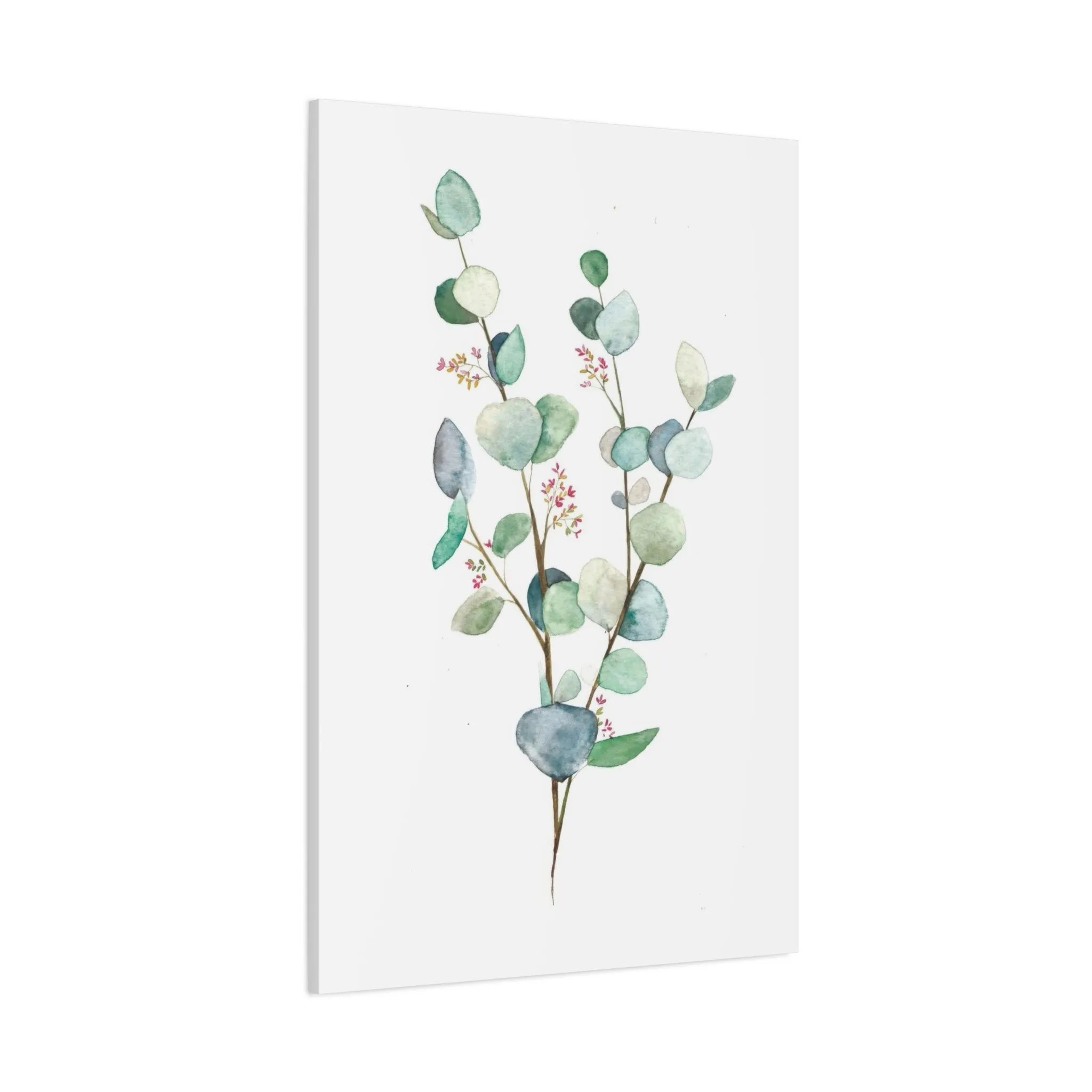 Eucalyptus Plant Light 2 Wall Art & Canvas Prints
