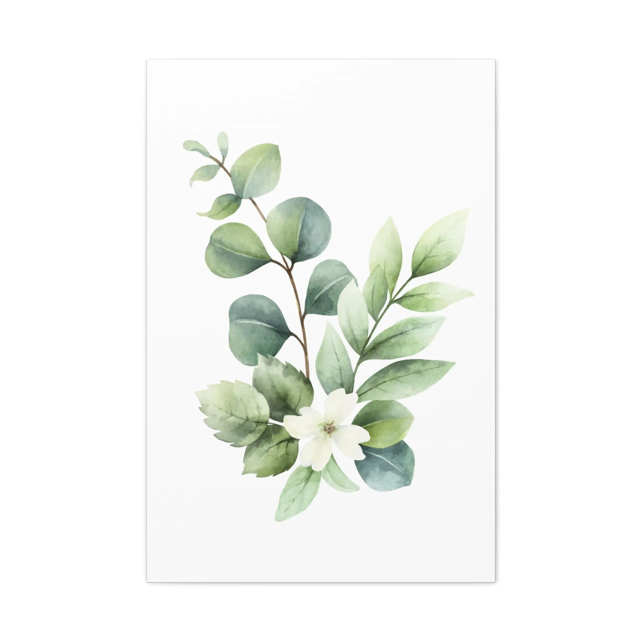 Eucalyptus Plant Light Wall Art & Canvas Prints