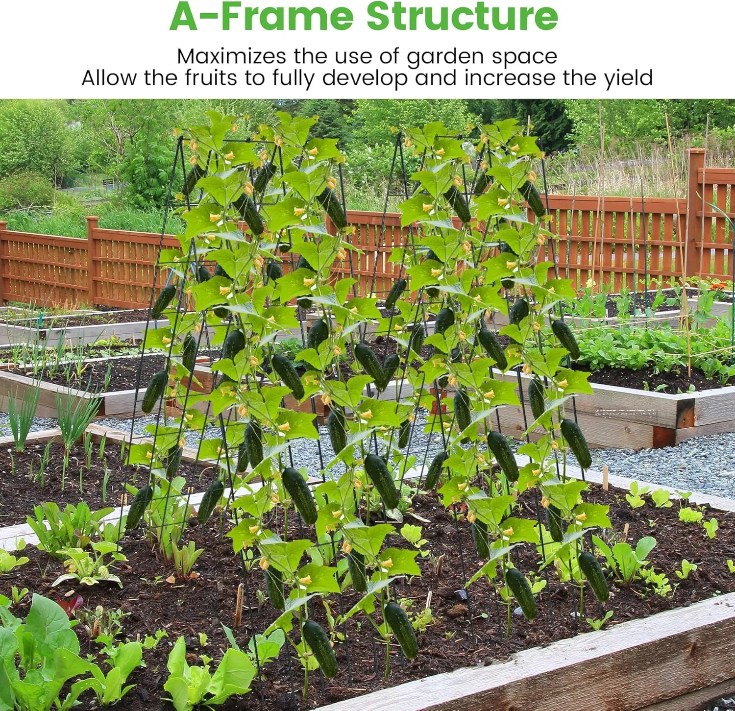 Foldable Cucumber Trellis 64" H x 20" W, A-Frame Cucumber Trellis for Raised Bed, Steel Vegetable Trellis with Twist Ties & Plant Bags for Climbing Plants Outdoor