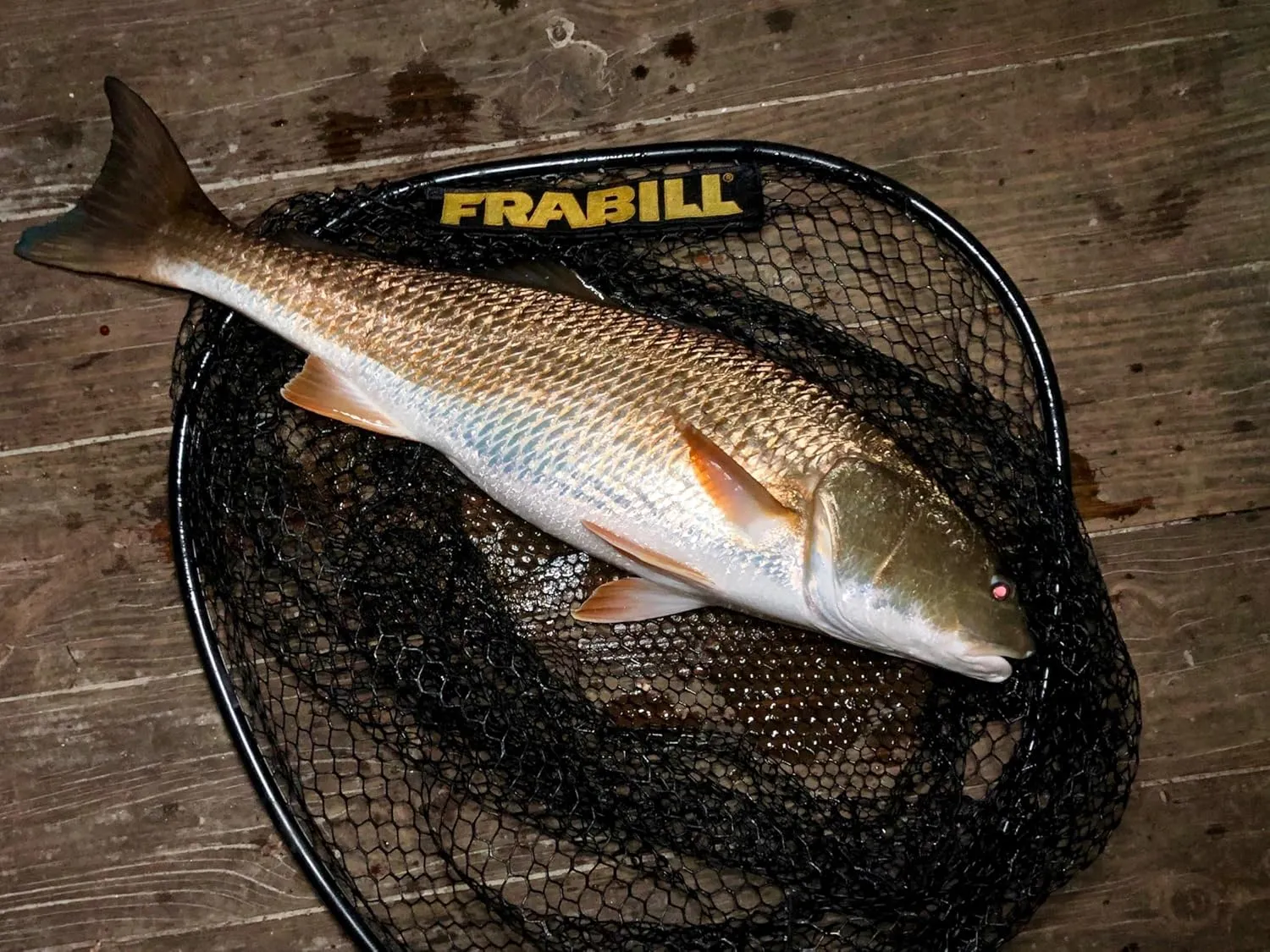 FRABILLFRABILL 9998 Fishing Equipment Nets & Traps