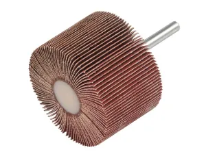 Garryson Sd10030F Flap Wheel 100 X 30Mm - Fine
