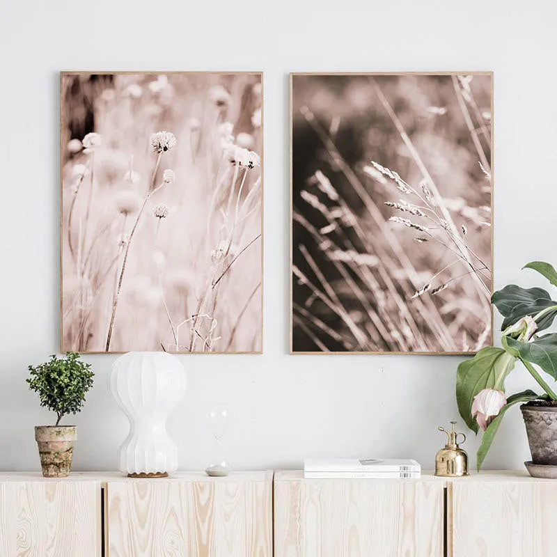Grass Nature Scenery Picture Flower Plant