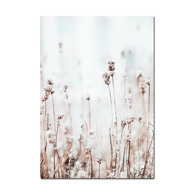 Grass Nature Scenery Picture Flower Plant