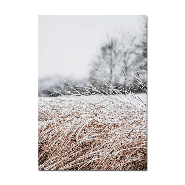 Grass Nature Scenery Picture Flower Plant
