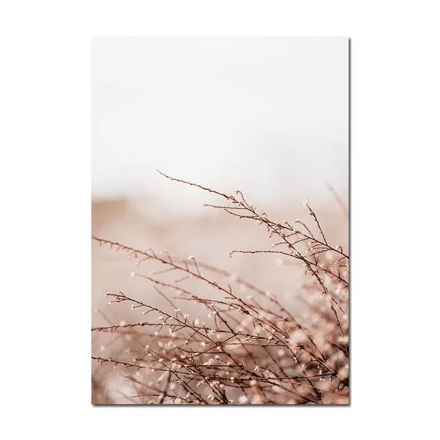Grass Nature Scenery Picture Flower Plant