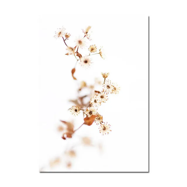 Grass Nature Scenery Picture Flower Plant