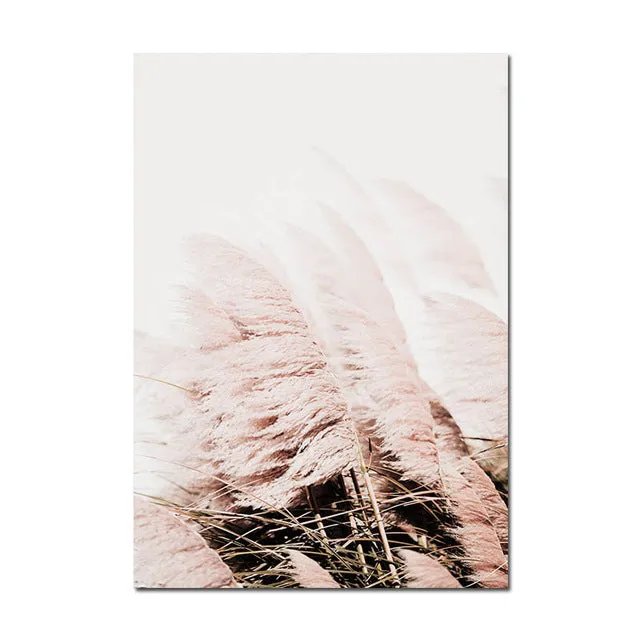 Grass Nature Scenery Picture Flower Plant