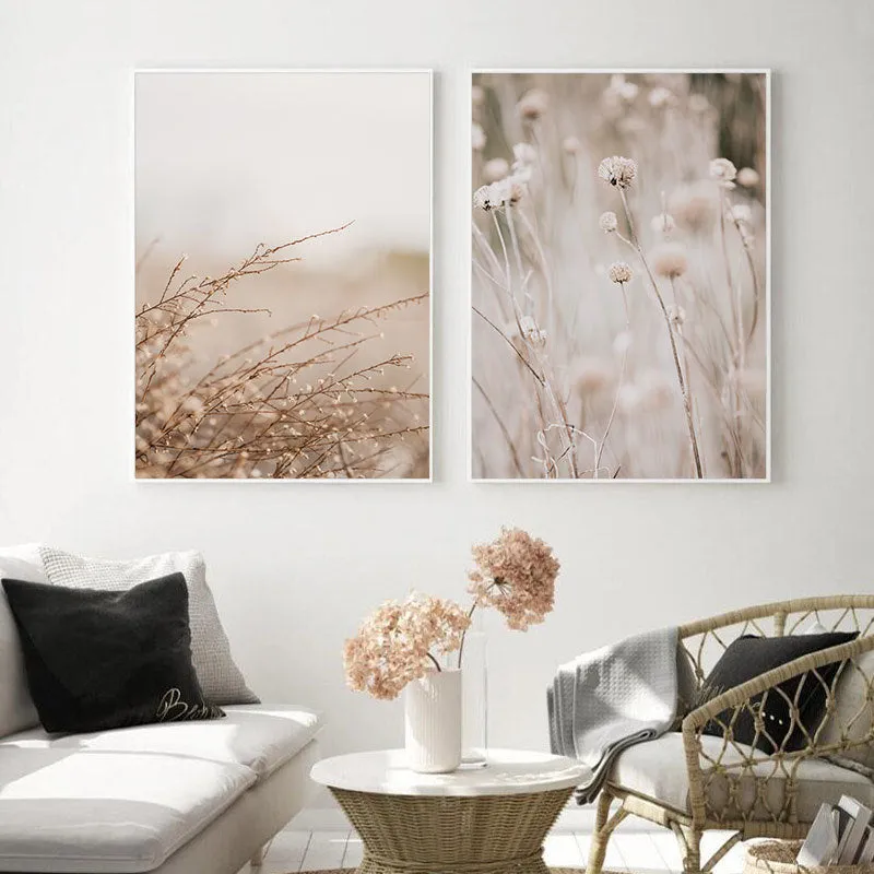 Grass Nature Scenery Picture Flower Plant