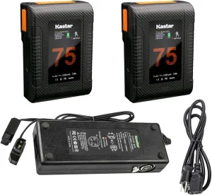 Kastar 2-Pack Battery and Dual D-Tap Charger Compatible with V-Mount/V-Lock Battery, BC-L70 BC-L90 BC-L160 BC-M50 BC-M150 AC-DN10 Charger, DSR-450WS DSR-450WSL DSR-450WSP DSR-450WSPL Camera