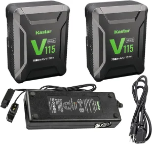 Kastar 2-Pack Battery and Dual D-Tap Charger Replacement for DSR-400PK DSR-400PL DSR-450WS DSR-450WSL DSR-450WSP DSR-450WSPL DSR-50 DSR-50P (Portable Recorder) DSR-500WS Camera