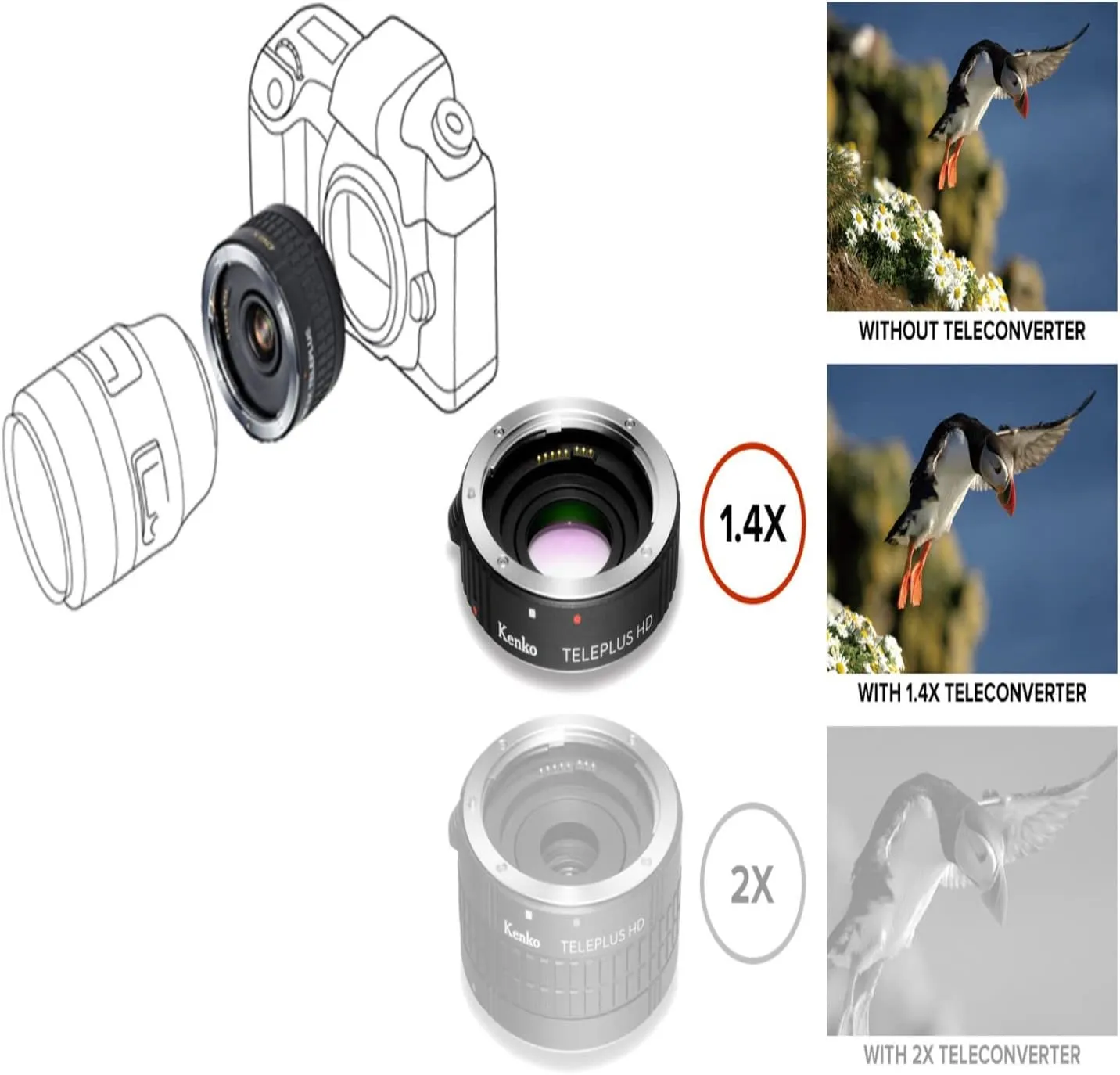 KENKO - Teleplus 1.4X HD DGX Teleconverter for Canon - Black