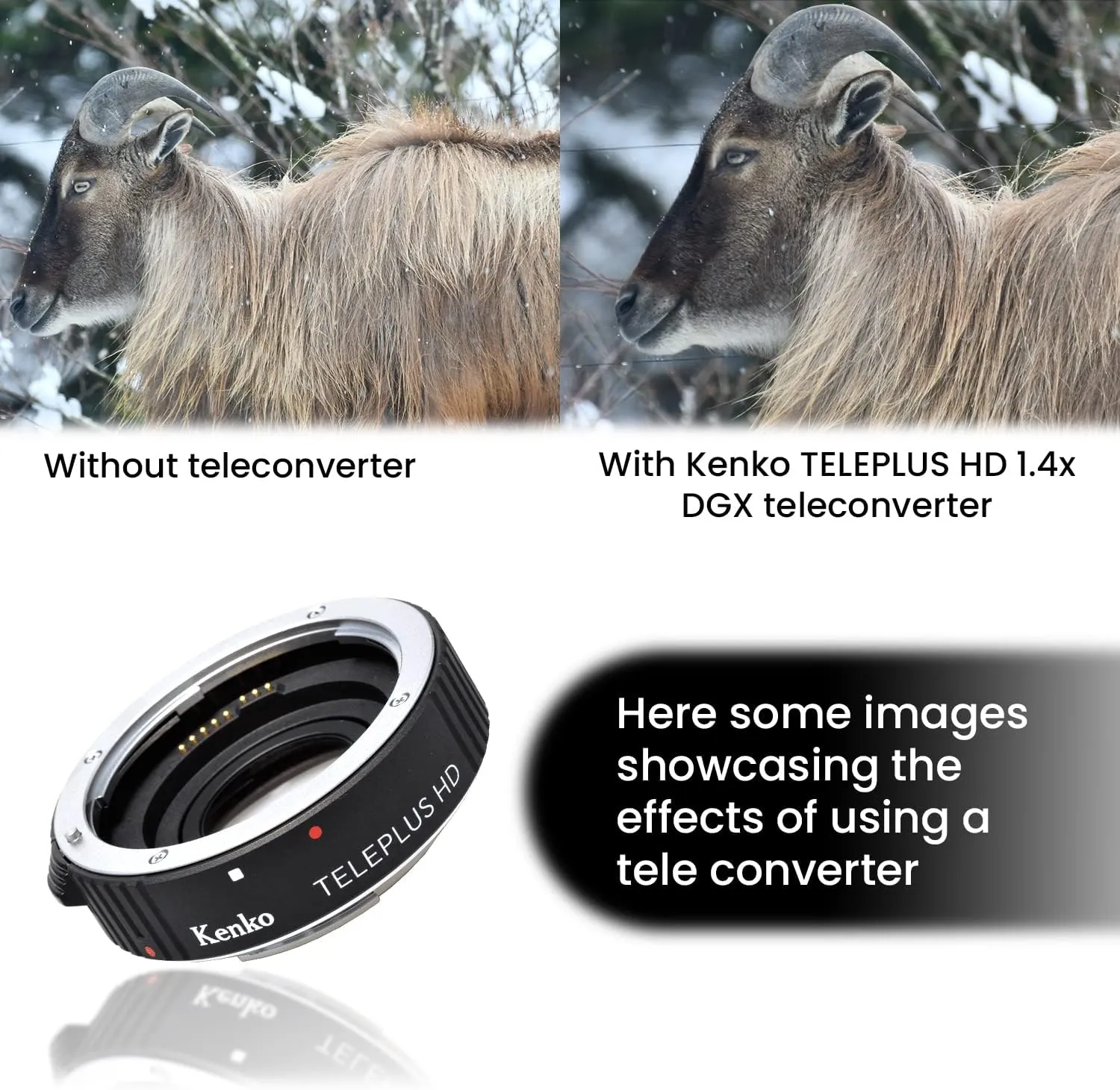 KENKO - Teleplus 1.4X HD DGX Teleconverter for Canon - Black