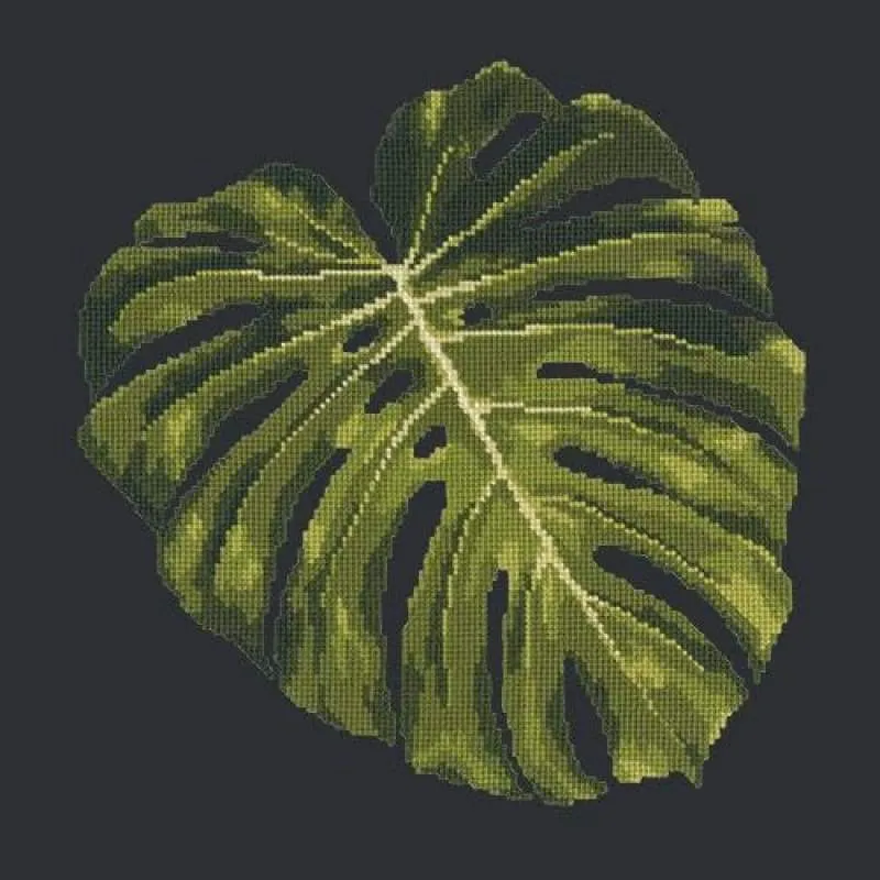 Monstera Leaf
