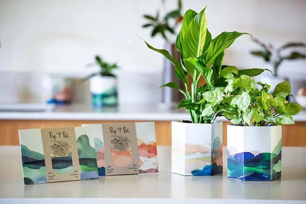 Mountain Pop Up Pot | Sow n Sow