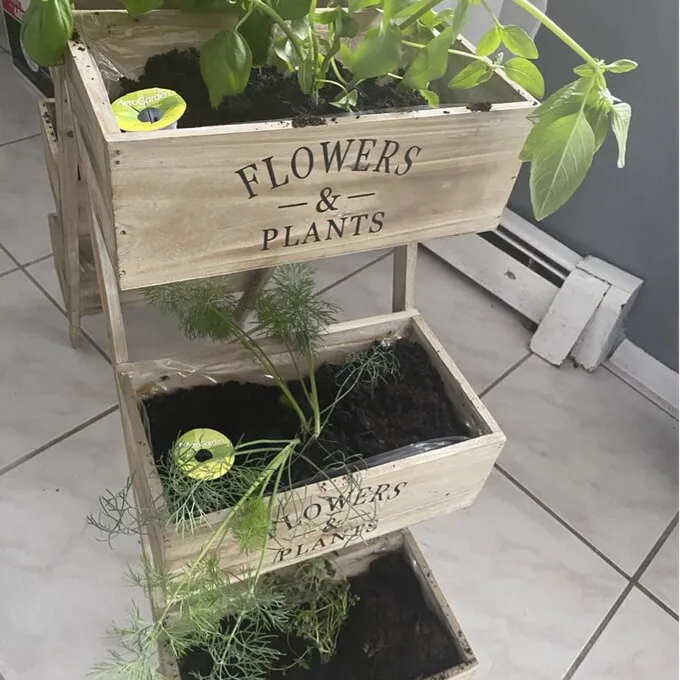 New in box! Assembled Amory Foldable Plant Stand by Ophelia & Co, Retails $170 