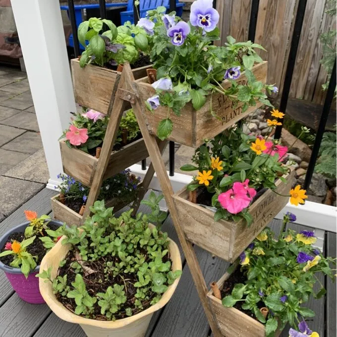 New in box! Assembled Amory Foldable Plant Stand by Ophelia & Co, Retails $170 