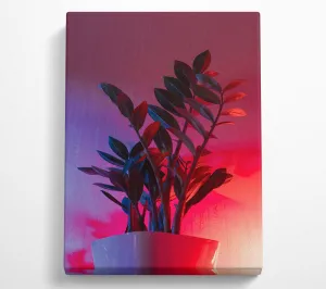 Pink Neon Plant