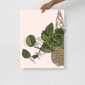 Plant Basket