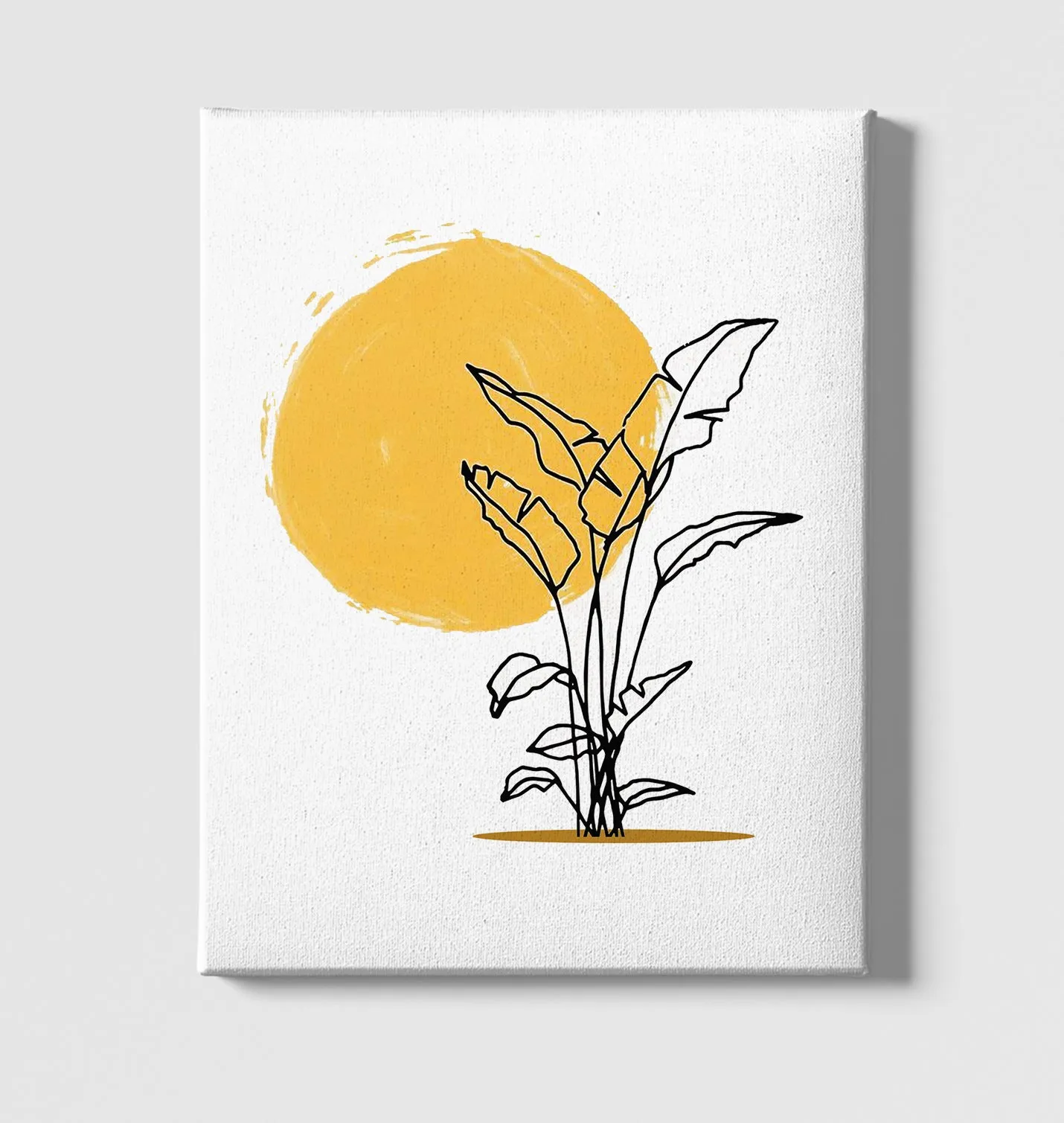 Plants By Sun White Canvas Wall Art 35x40cm