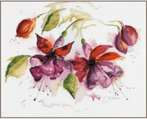 PN - 0008026 Fuchsia Aquarelle Lot de 1
