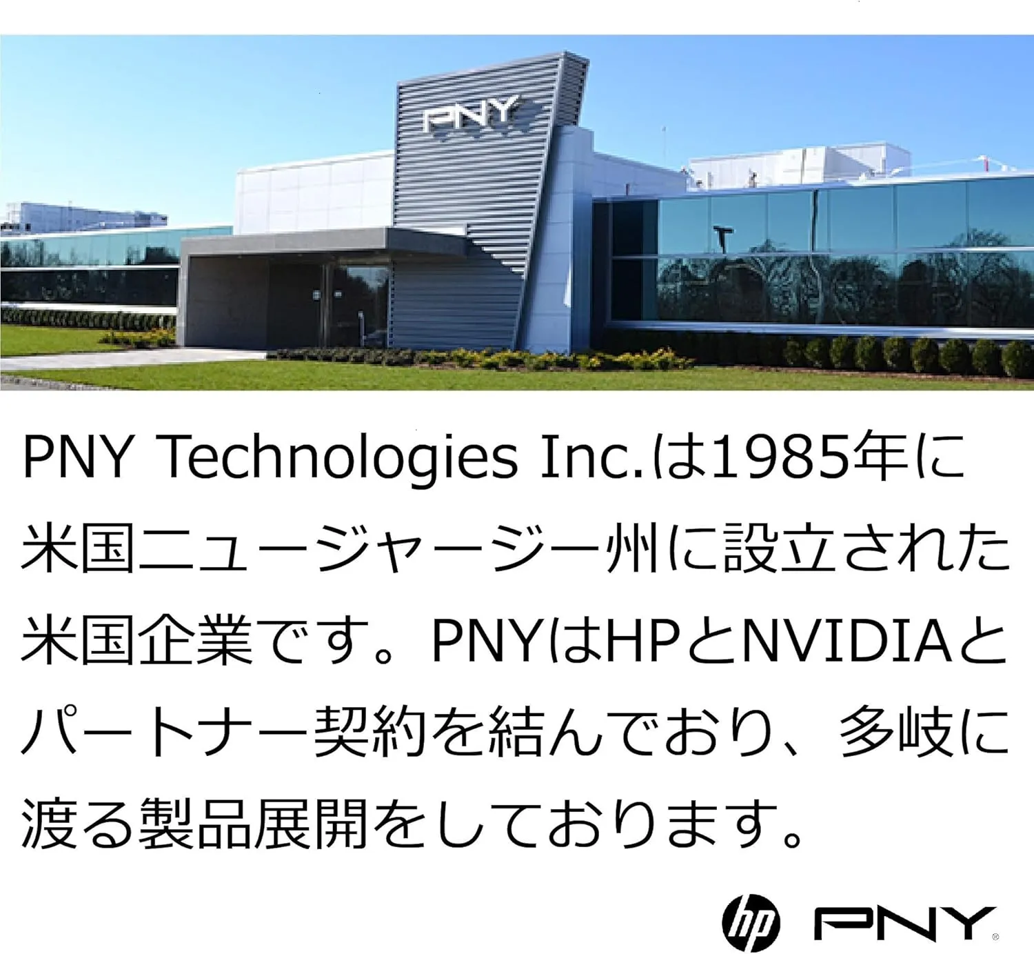 PNY 128GB Elite Performance Class 10 U3 SDXC Flash Memory Card - 95MB/s, Class 10, U3, 4K UHD, Full HD, UHS-I, Full Size SD