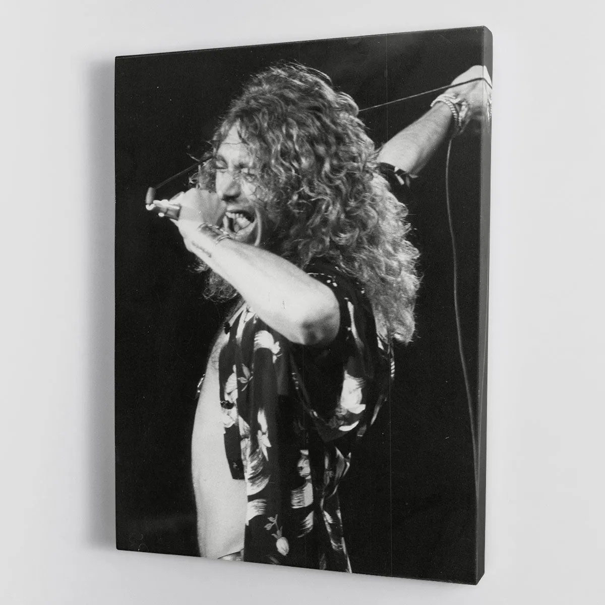 Robert Plant Canvas Print or Poster