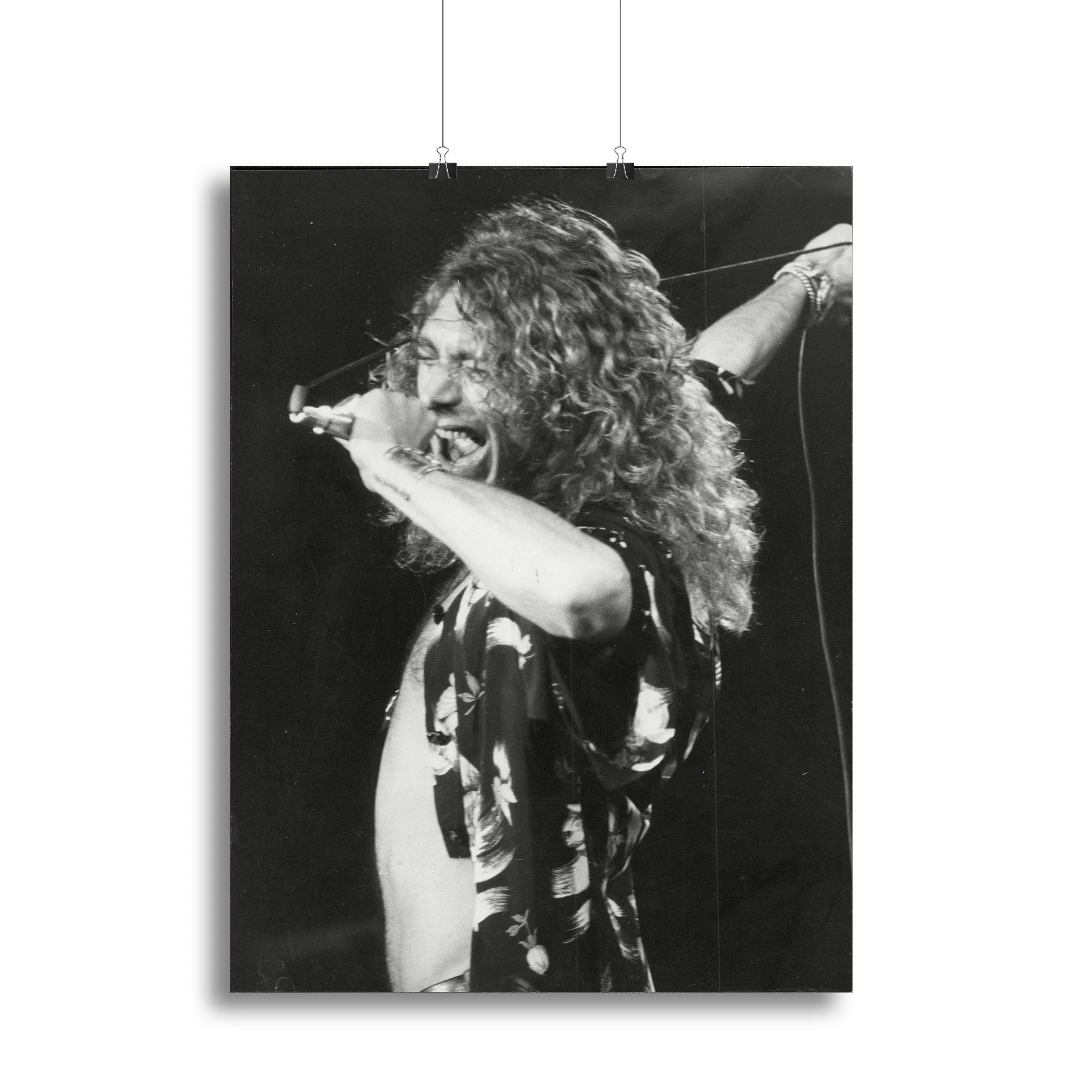 Robert Plant Canvas Print or Poster
