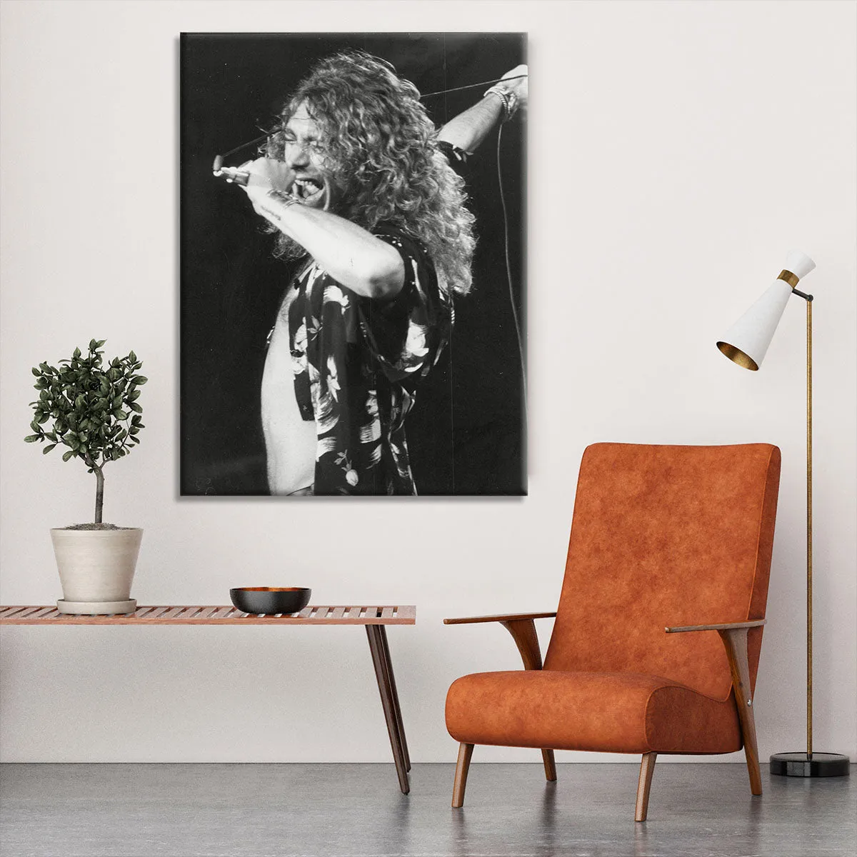 Robert Plant Canvas Print or Poster