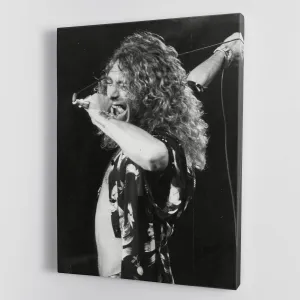 Robert Plant Canvas Print or Poster