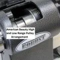 ROBUST AMERICAN BEAUTY