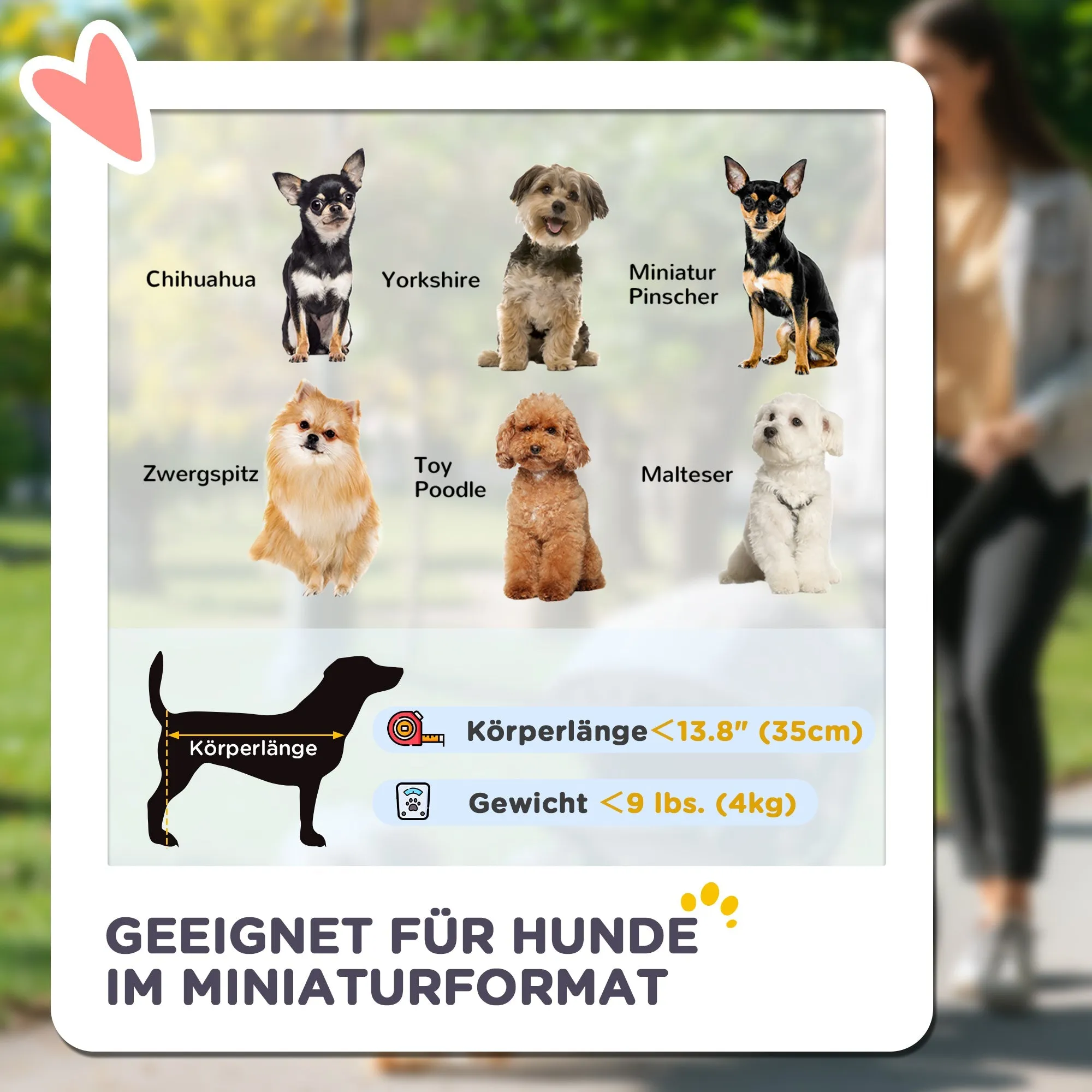 Rootz 3-in-1 Pet Trolley - Foldable Dog Cars - Portable Carriers - Easy Storage - 76cm x 50cm x 102cm