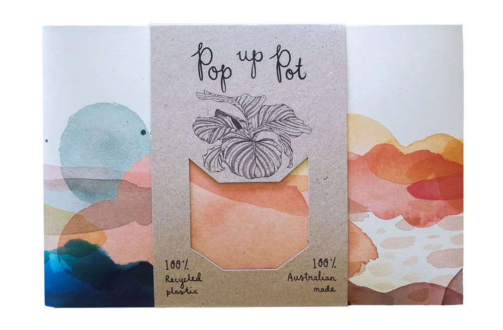 Sow ‘n Sow Pop Up Pot