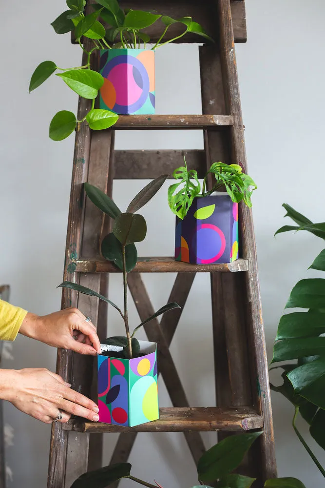 Sow ‘n Sow Pop Up Pot